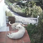 Casa Bonica فريجيليانا