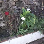 Casa Bonica شقة