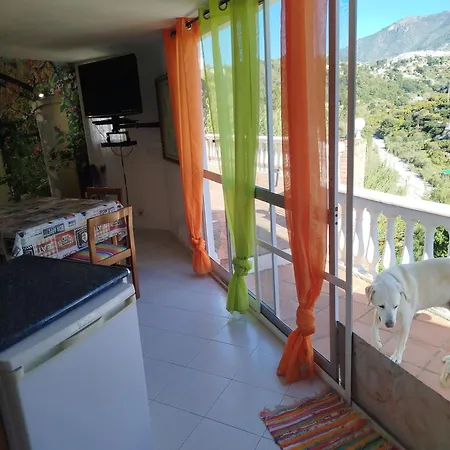 Casa Bonica