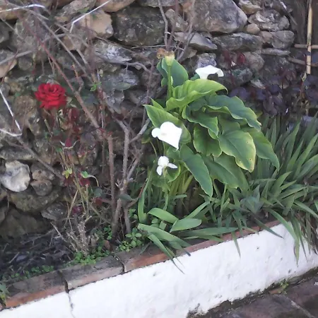 Casa Bonica Apartmán